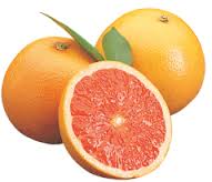 Florida Grapefruit